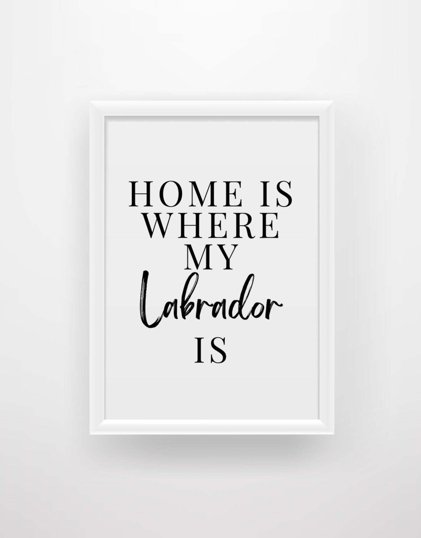 Home is where my Labrador is - Chic Prints