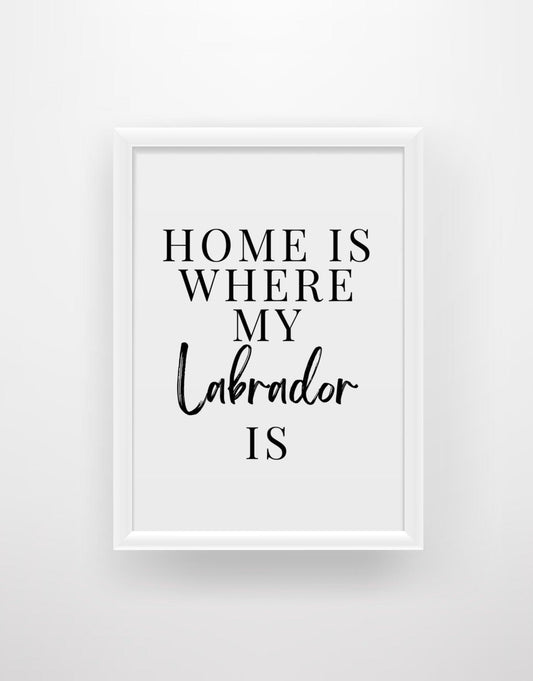 Home is where my Labrador is - Chic Prints