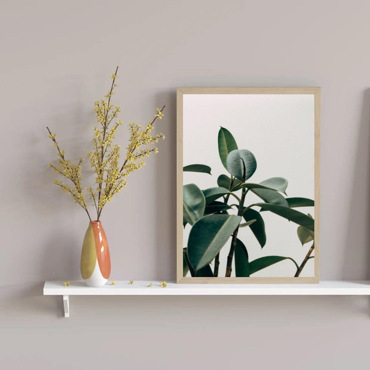 Rubber Tree - Botanical Print - Chic Prints